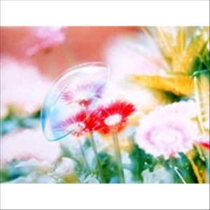 ニチコンＥＸ-ＵＶ